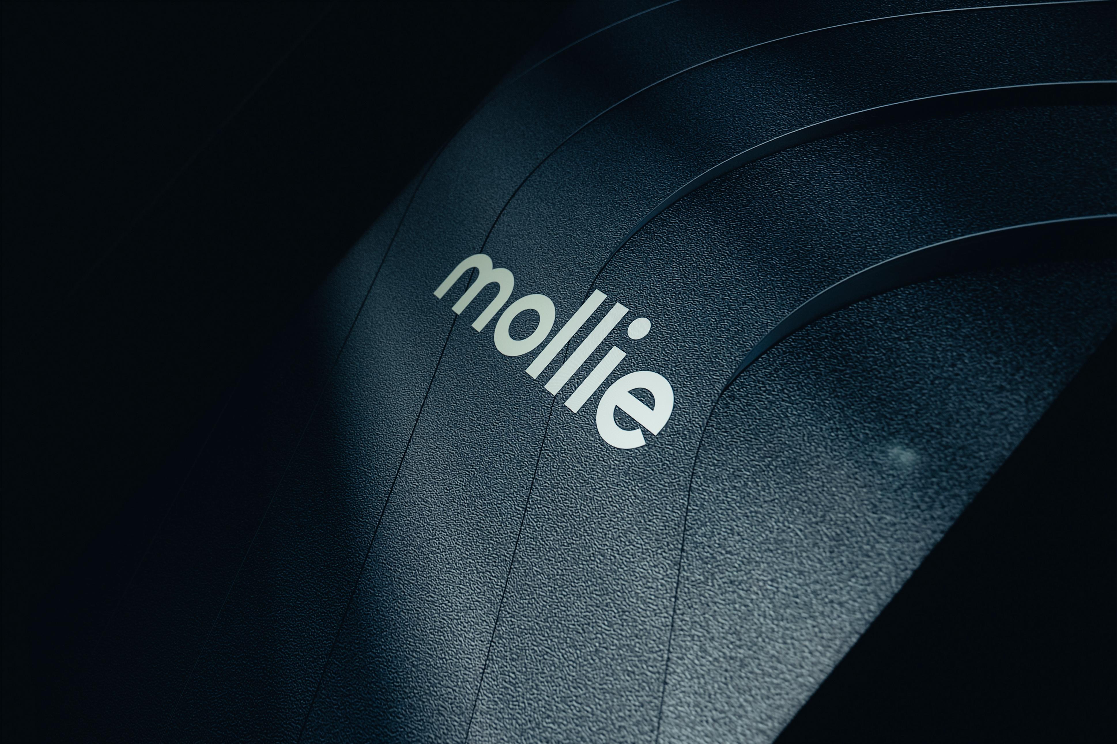 Mollie, Event, Image5